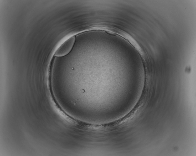 X0000097660955200802291423