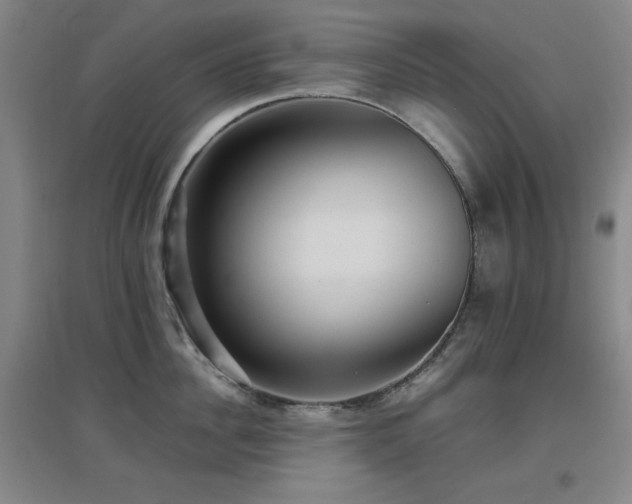 X0000097660956200802291423