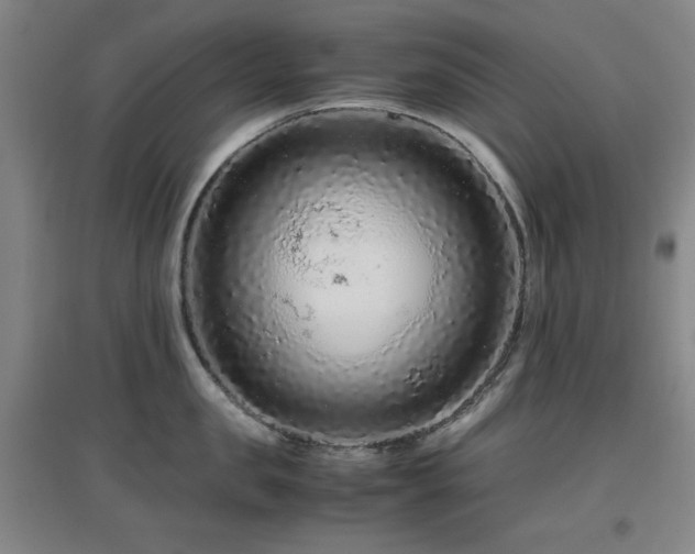 X0000097660957200802291423