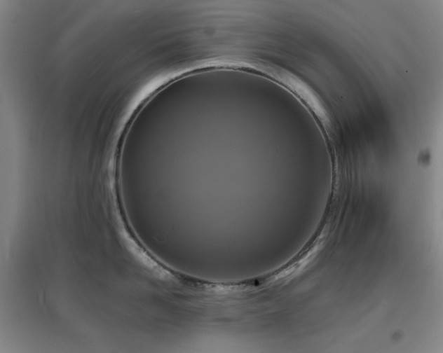 X0000097660958200802291423