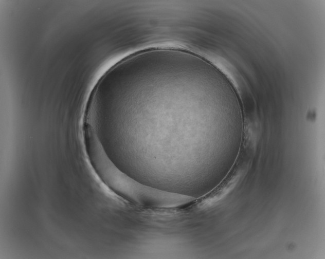 X0000097660959200802291423