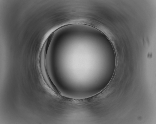 X0000097660960200802291423