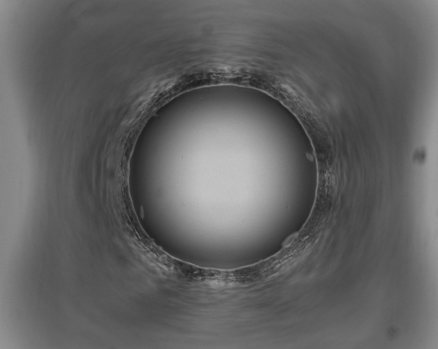 X0000097660961200802291422