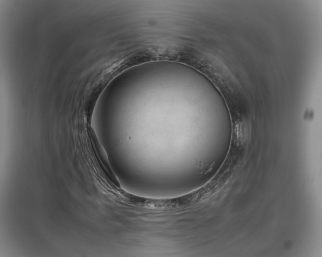 X0000097660963200802291422