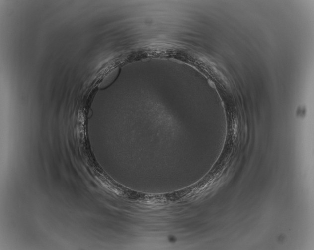 X0000097660964200802291422