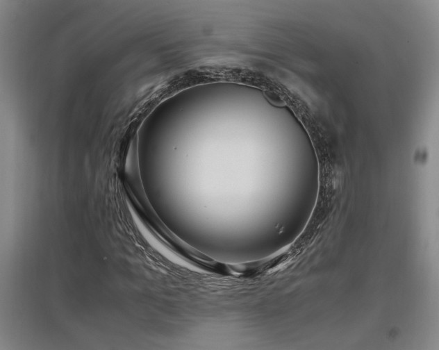 X0000097660965200802291422
