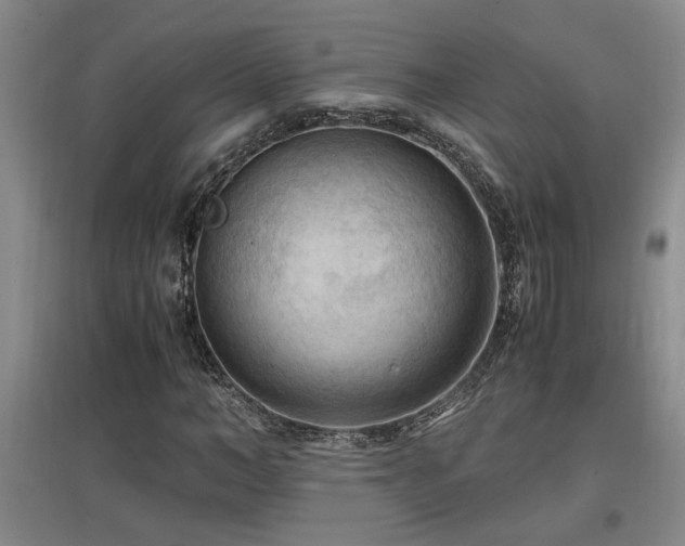 X0000097660966200802291422