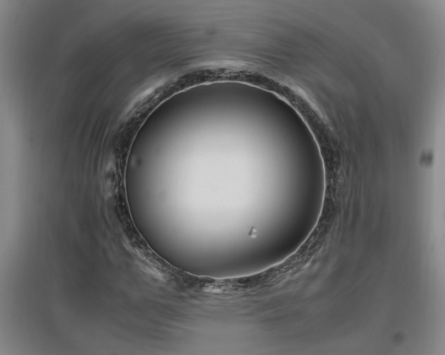 X0000097660967200802291422