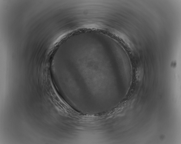 X0000097660968200802291422
