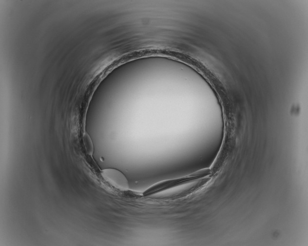 X0000097660969200802291422