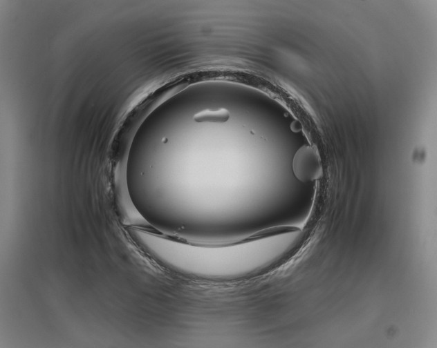 X0000097660970200802291422