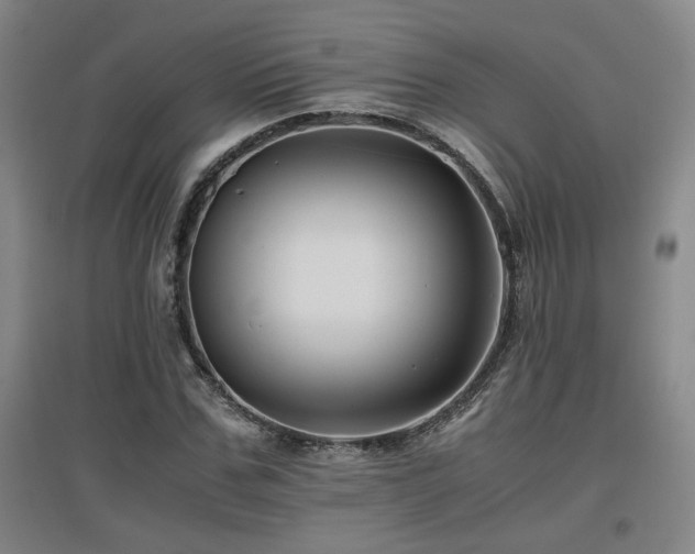 X0000097660971200802291422