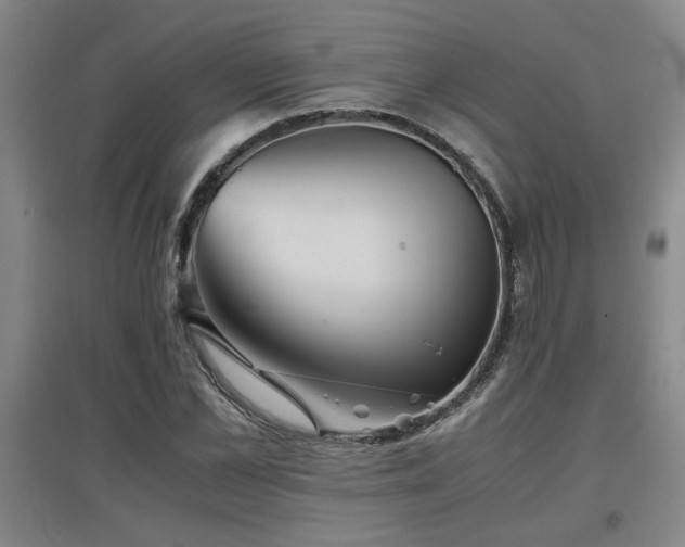 X0000097660973200802291422