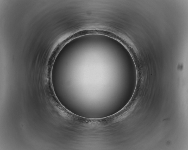 X0000097660974200802291422