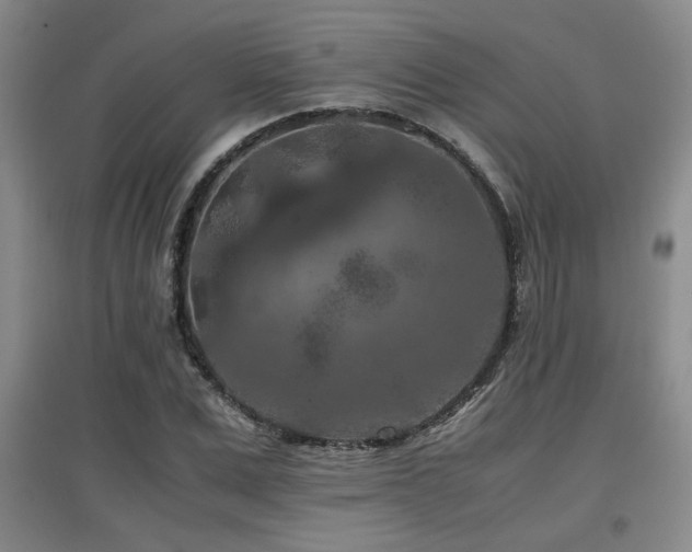 X0000097660975200802291422