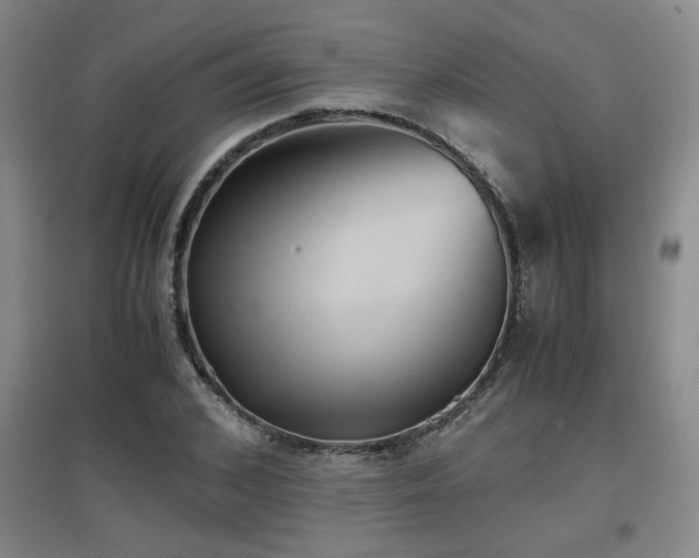 X0000097660976200802291422