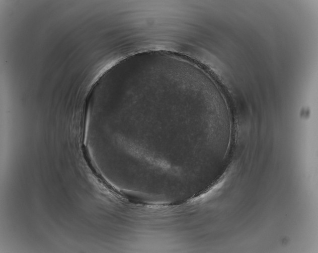 X0000097660977200802291422
