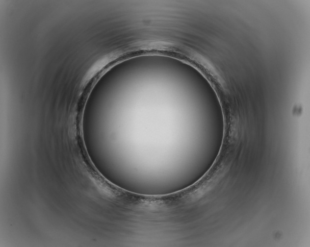 X0000097660978200802291422