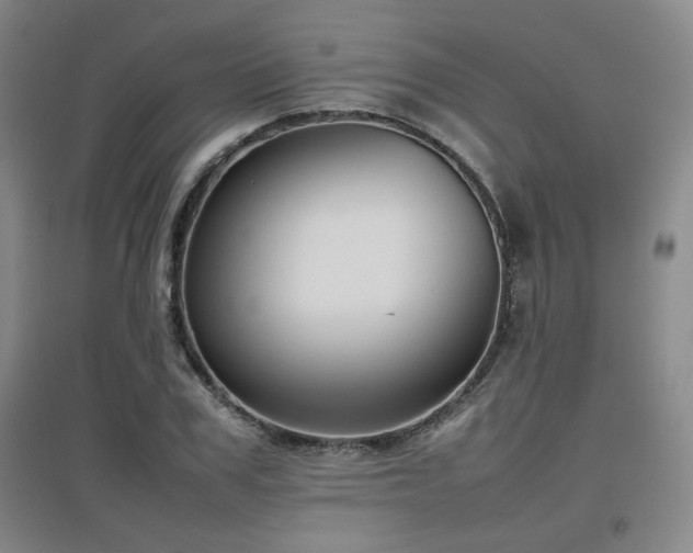 X0000097660979200802291422