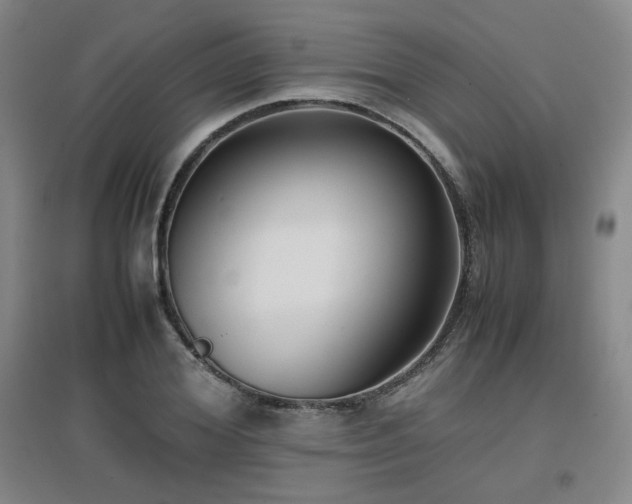 X0000097660980200802291422