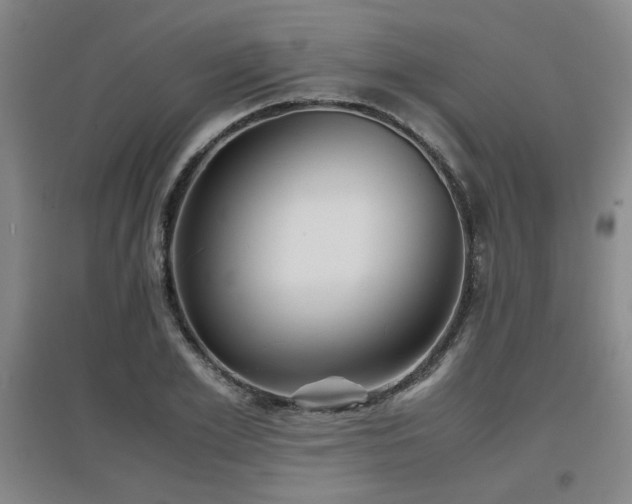 X0000097660981200802291422