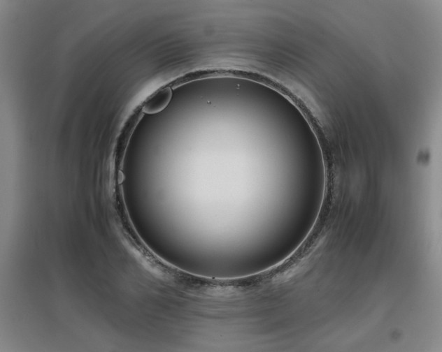 X0000097660982200802291422