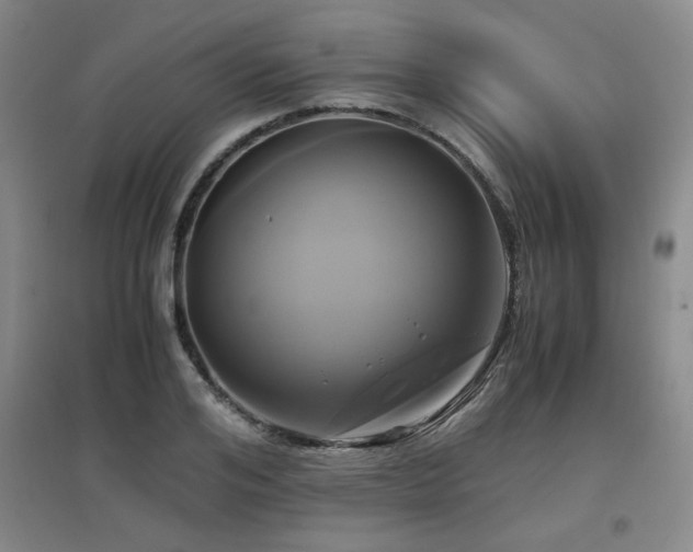 X0000097660984200802291422