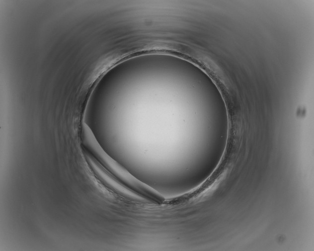 X0000097660985200802291422