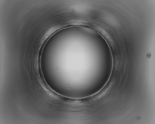 X0000097660986200802291422