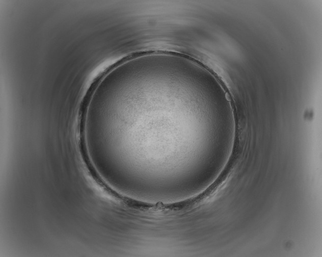 X0000097660987200802291422
