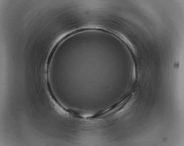 X0000097660988200802291422
