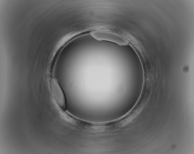 X0000097660989200802291422
