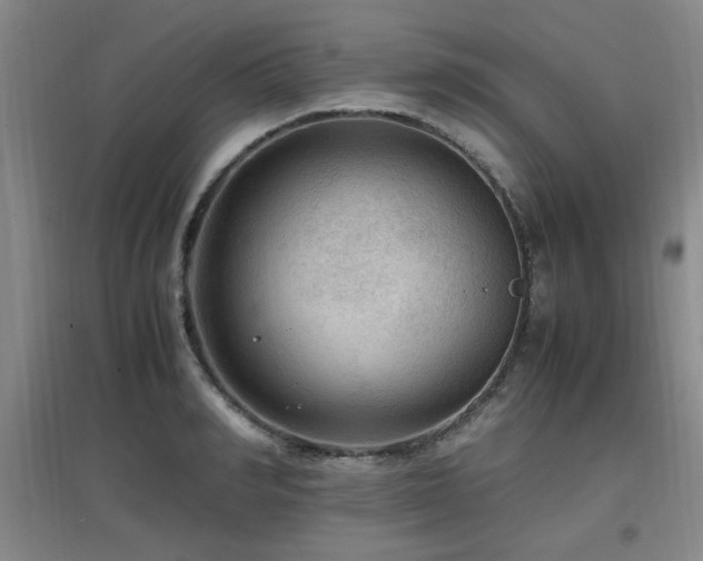 X0000097660990200802291422