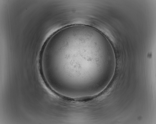X0000097660991200802291422