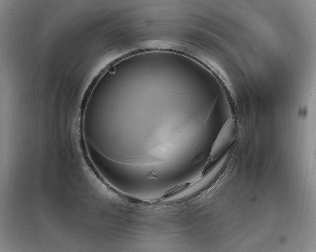 X0000097660992200802291422