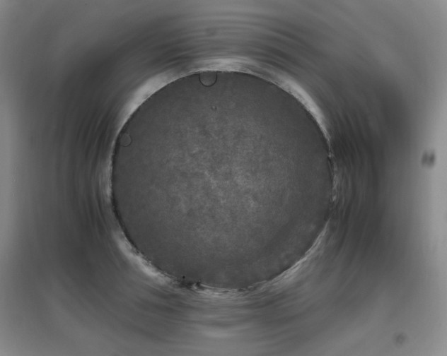 X0000097660994200802291422