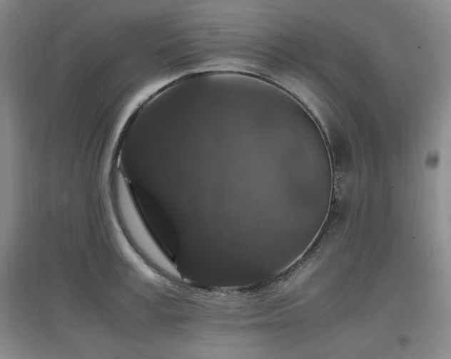 X0000097660995200802291422