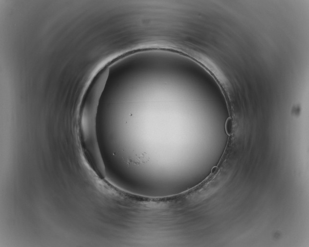 X0000097660996200802291422
