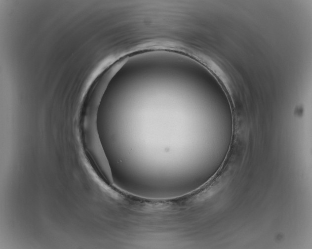 X0000097660997200802291422