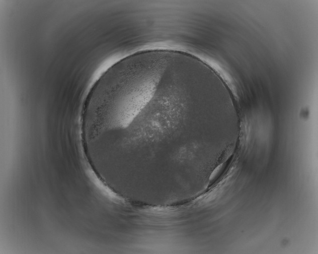X0000097660998200802291422