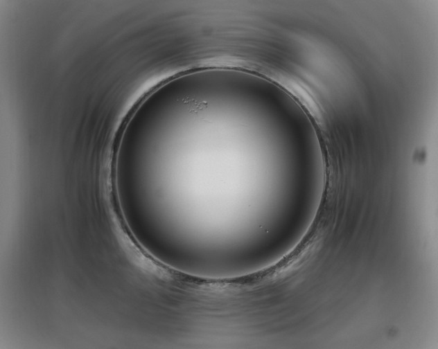 X0000097661000200802291422