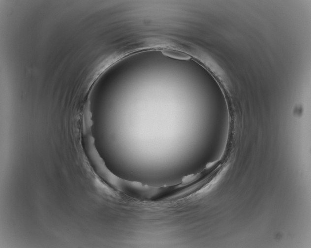 X0000097661001200802291422