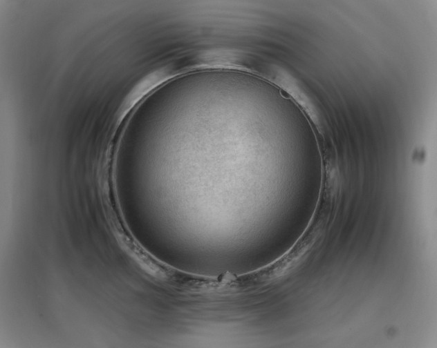 X0000097661002200802291422