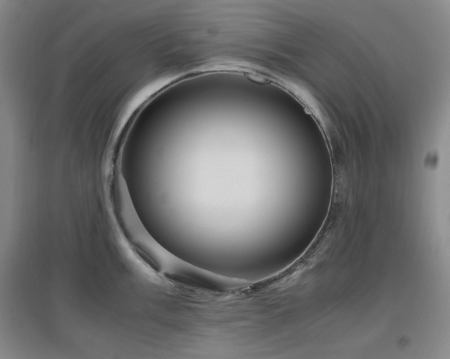 X0000097661003200802291422