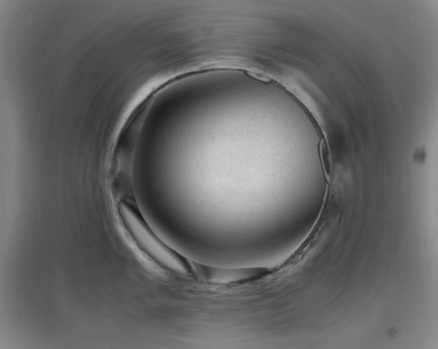 X0000097661005200802291422