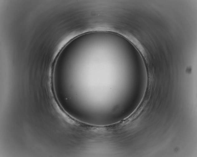 X0000097661006200802291422
