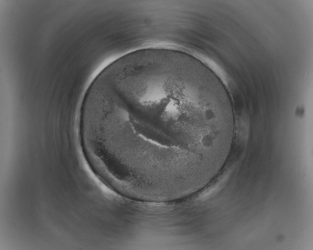 X0000097661007200802291422