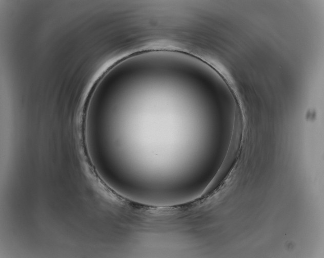 X0000097661008200802291422