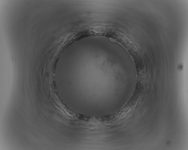 X0000097661009200802291421