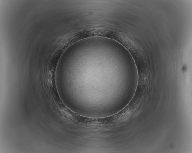 X0000097661010200802291421